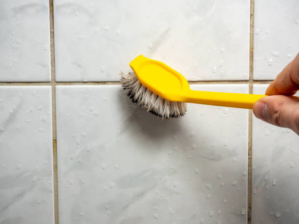 Best Black Mold Remediation in South Park, WY