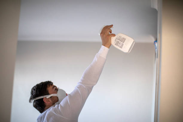 Best Mold Remediation for Schools in South Park, WY